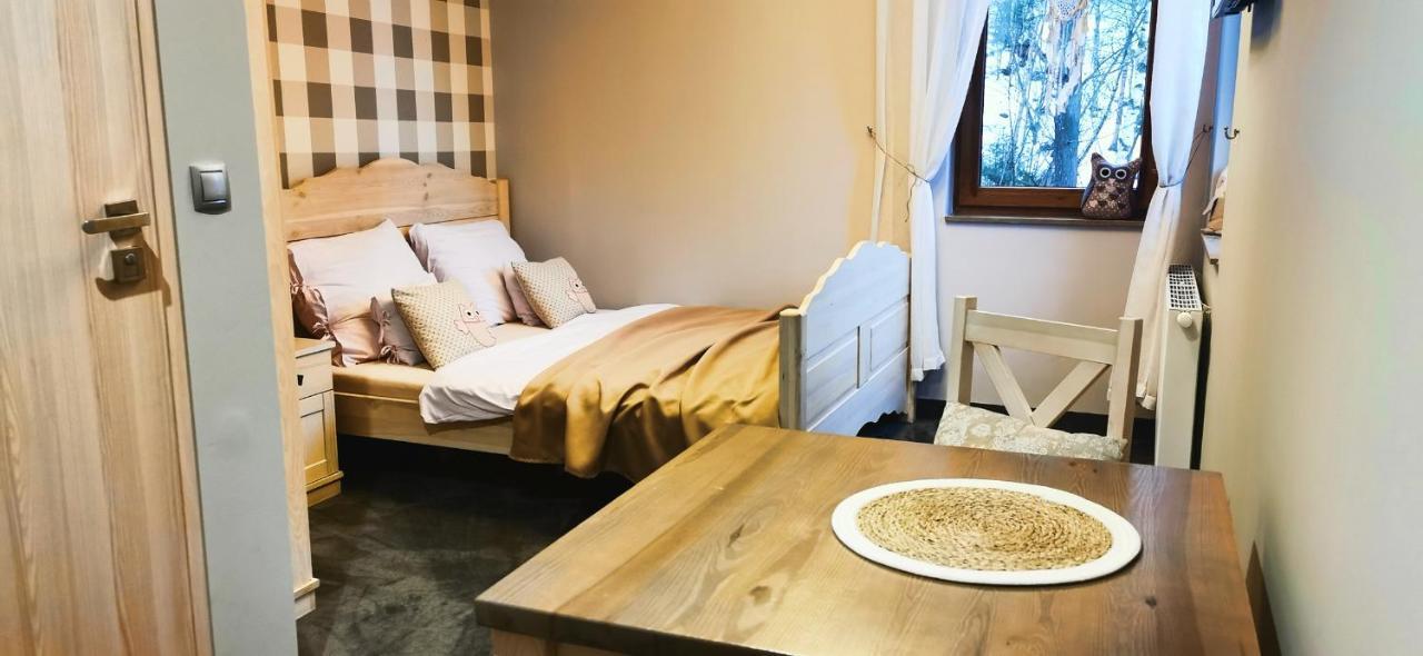 Willa Sowia Dolina - Apartamenty Z Aneksami I Wyjsciem Na Ogrod Karpacz Buitenkant foto